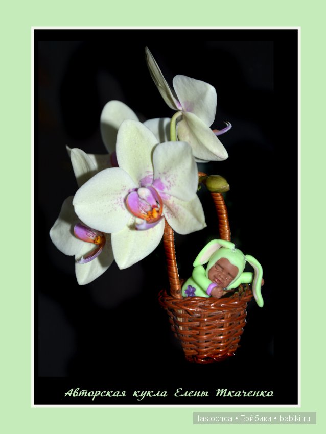 Мини малыши - моя версия мини кукол Anne Geddes и другие игрушки (фото 2)