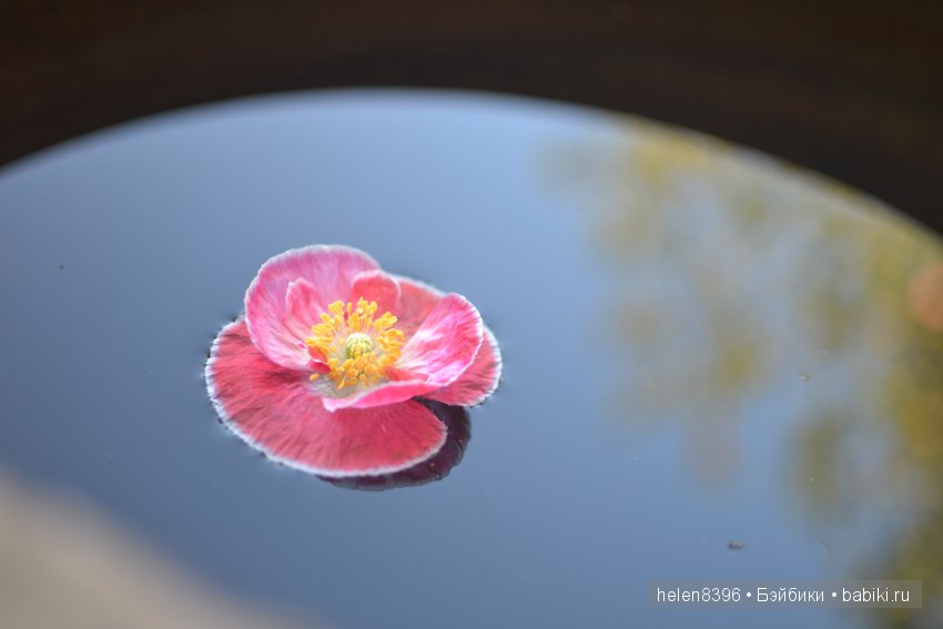 Осень пришла вчера — Куклы Helen Kish (Хелен Киш): Riley (Райли)