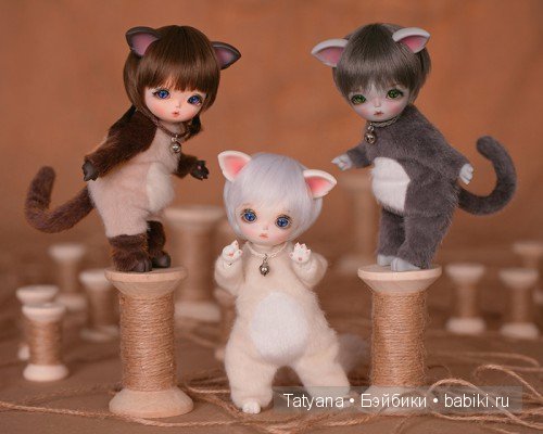 В линейке Withdoll 16 см кукол сделана новая лимитная серия "котики"