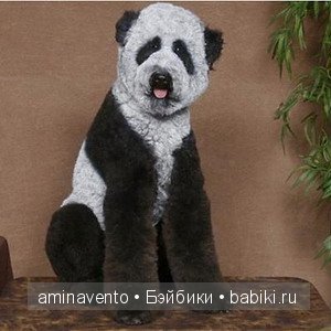 "Мой хозяин идиот" или как применить вдохновение