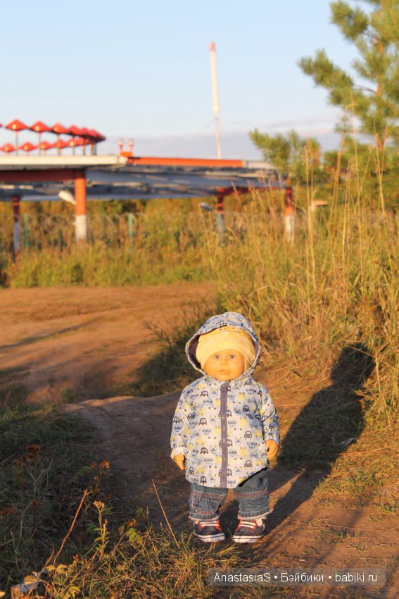 Уборка урожая и подготовка к холодам (фото 8)