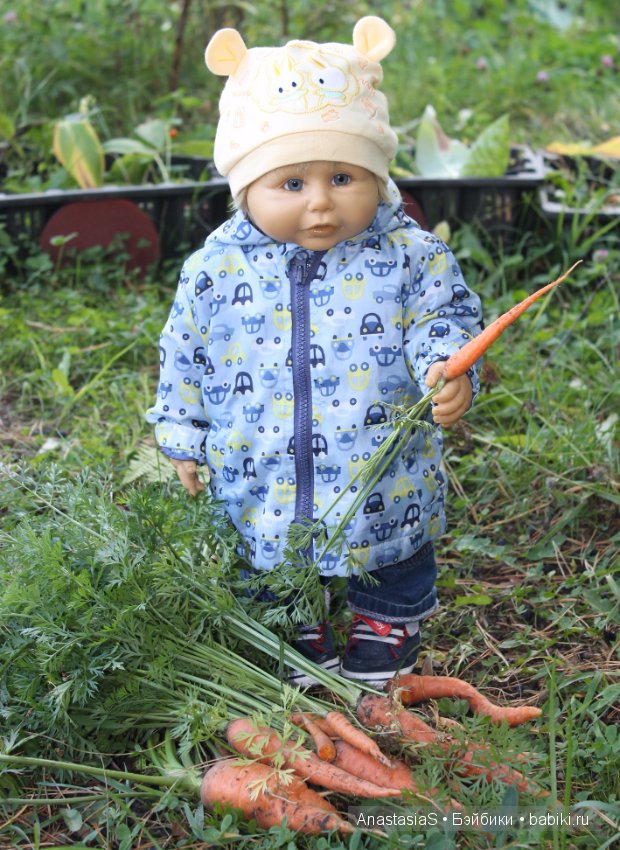 Уборка урожая и подготовка к холодам