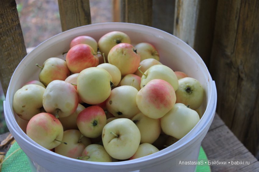 Уборка урожая и подготовка к холодам (фото 3)