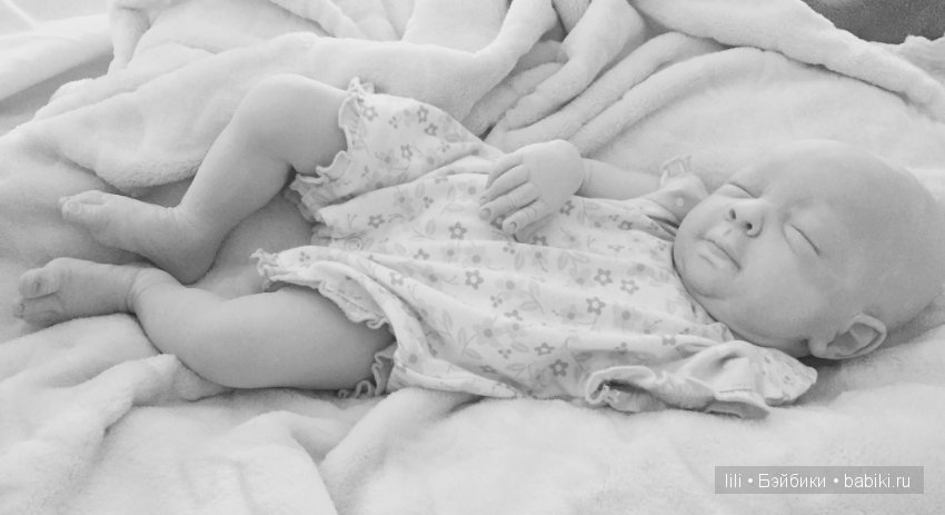 Новые малыши от Jessica Schenk (фото 8)