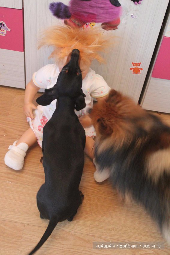 Лохматик Руби от Моники Левениг