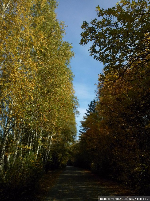 Леди Осень или — Новости конкурсов: план на год (фото 3)