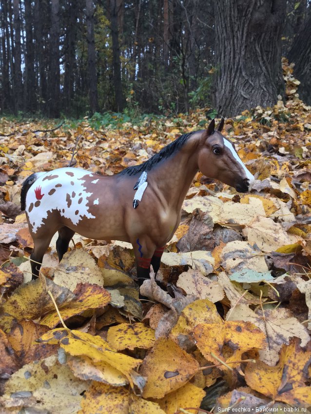 Конная прогулка в осеннем лесу и немного предыстории (фото 8)