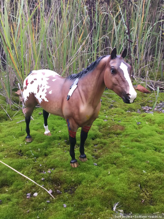 Конная прогулка в осеннем лесу и немного предыстории (фото 9)