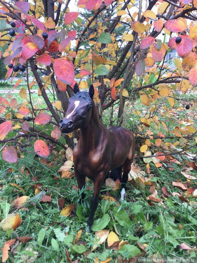 Конная прогулка в осеннем лесу и немного предыстории
