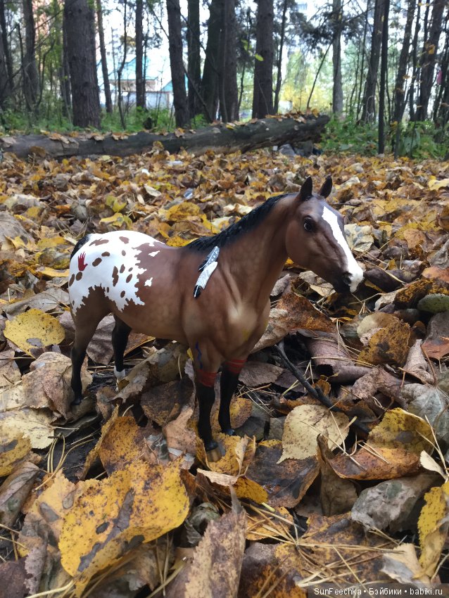 Конная прогулка в осеннем лесу и немного предыстории (фото 2)