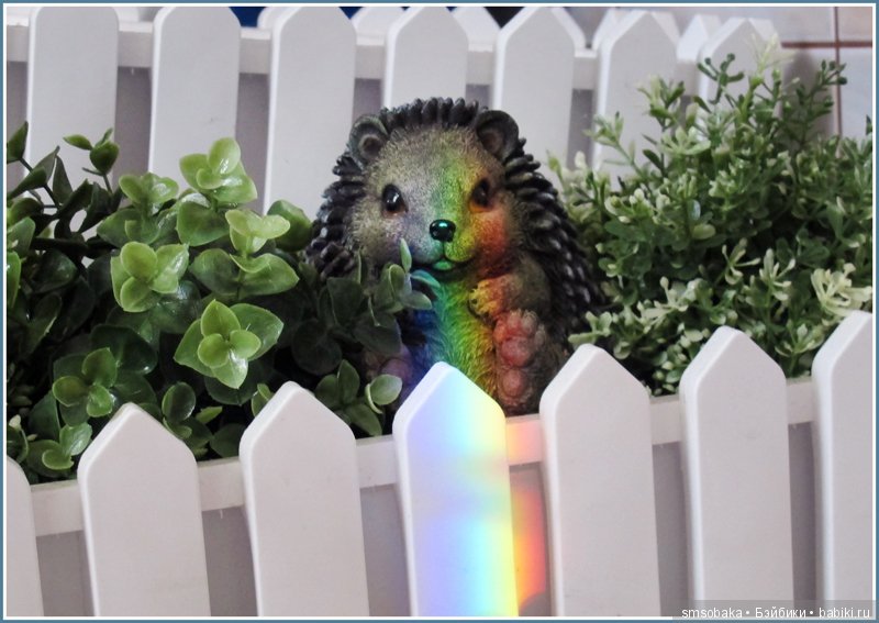 Приз за 1 место в фото-конкурсе