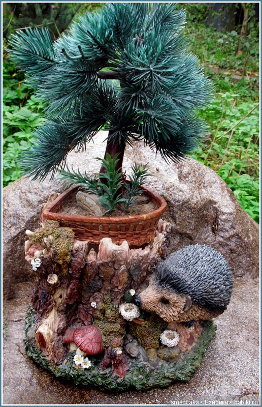 Приз за 1 место в фото-конкурсе