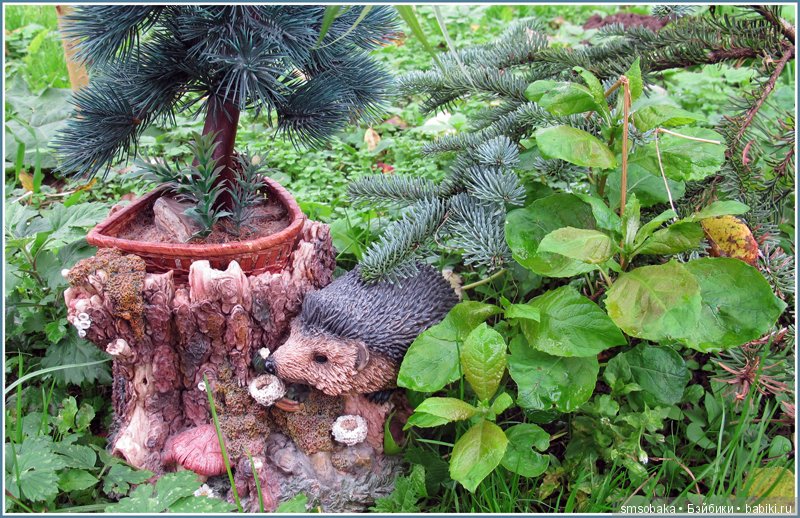 Приз за 1 место в фото-конкурсе