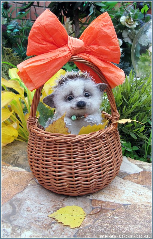 Приз за 1 место в фото-конкурсе