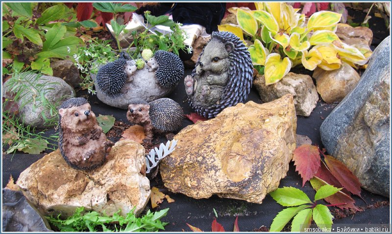 Приз за 1 место в фото-конкурсе