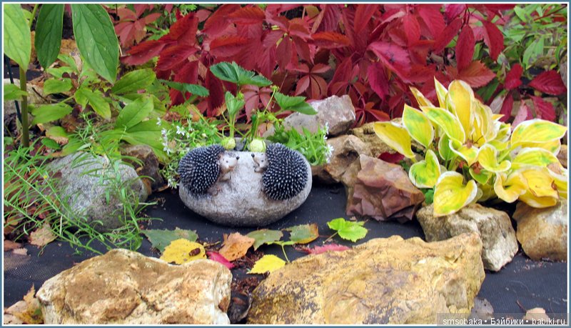 Приз за 1 место в фото-конкурсе