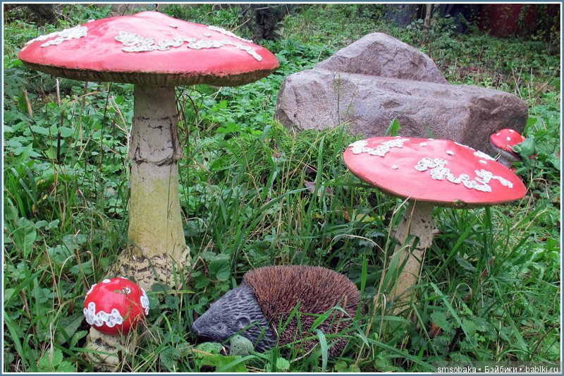 Приз за 1 место в фото-конкурсе