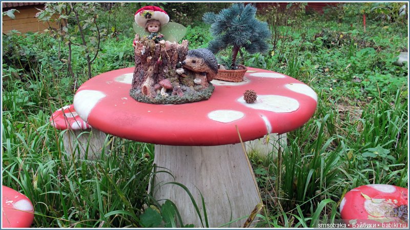 Приз за 1 место в фото-конкурсе