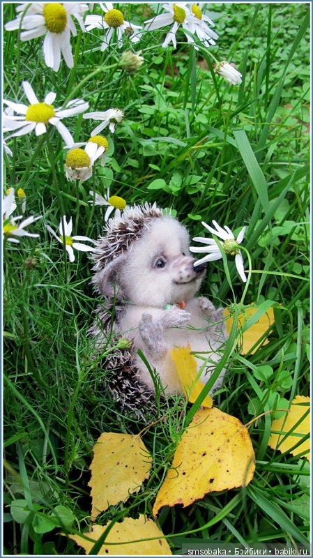 Приз за 1 место в фото-конкурсе