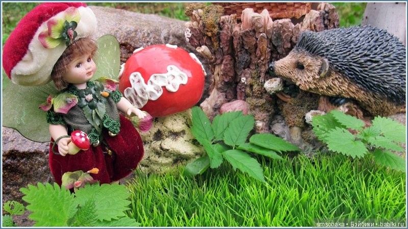 Приз за 1 место в фото-конкурсе