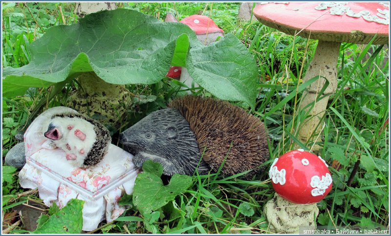 Приз за 1 место в фото-конкурсе