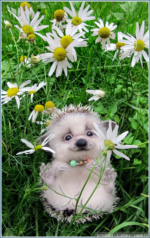 Приз за 1 место в фото-конкурсе