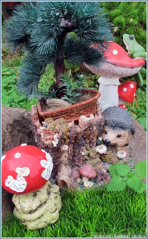 Приз за 1 место в фото-конкурсе