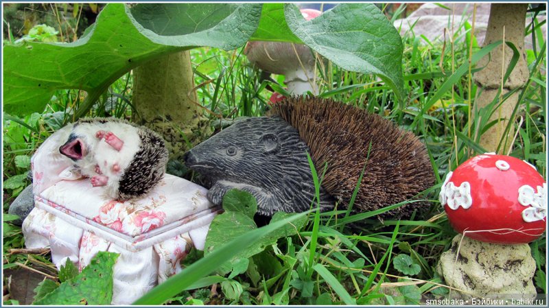 Приз за 1 место в фото-конкурсе