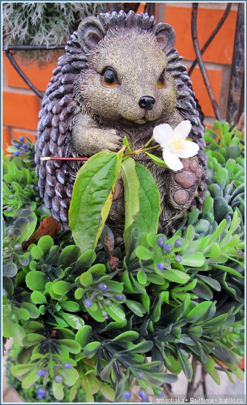 Приз за 1 место в фото-конкурсе