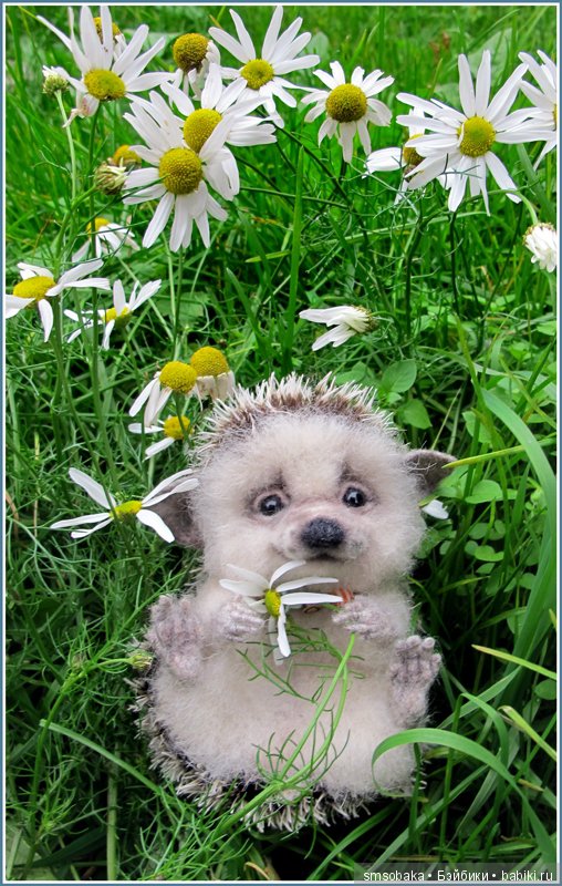 Приз за 1 место в фото-конкурсе