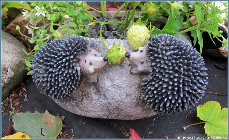 Приз за 1 место в фото-конкурсе