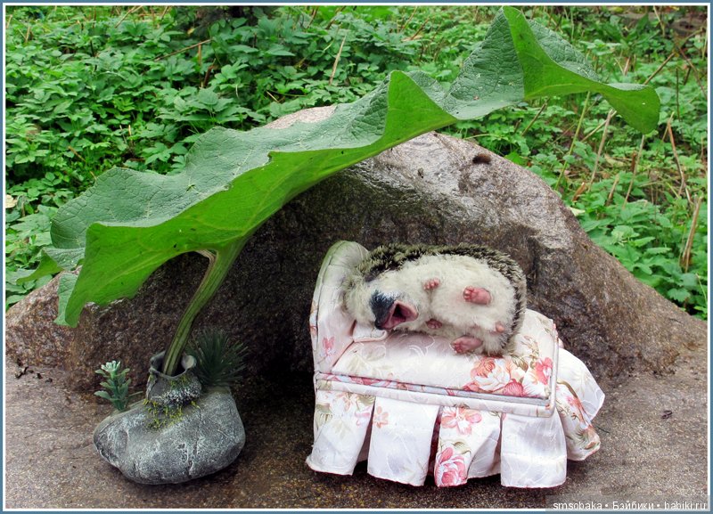 Приз за 1 место в фото-конкурсе