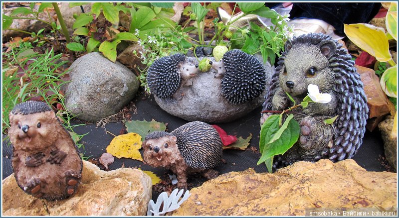 Приз за 1 место в фото-конкурсе