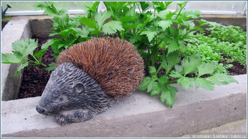 Приз за 1 место в фото-конкурсе