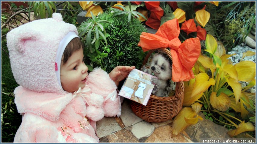 Приз за 1 место в фото-конкурсе