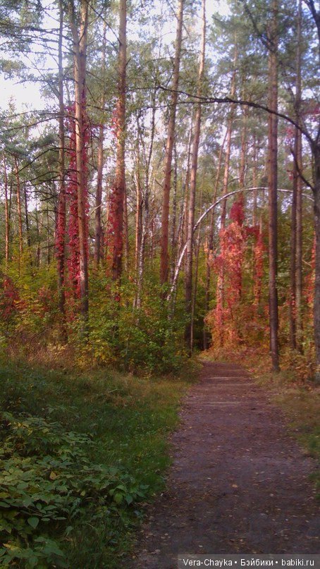 Ведьмин камень и Кики — Одежда и обувь для кукол BJD (БЖД): 1/3