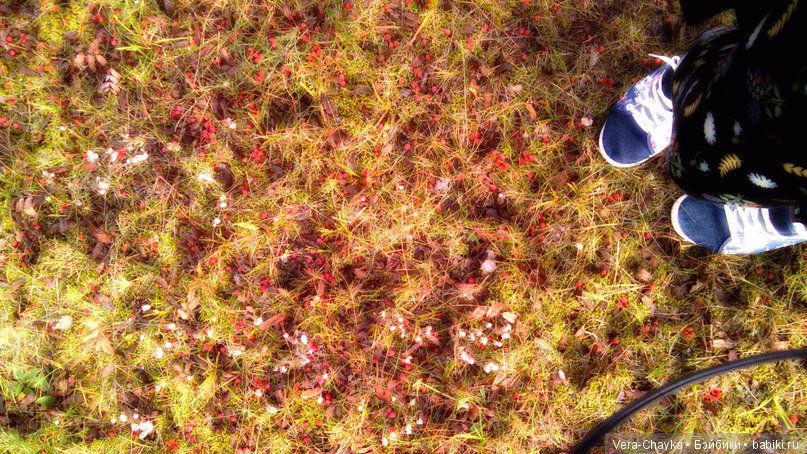 Ведьмин камень и Кики — Одежда и обувь для кукол BJD (БЖД): 1/3 (фото 2)