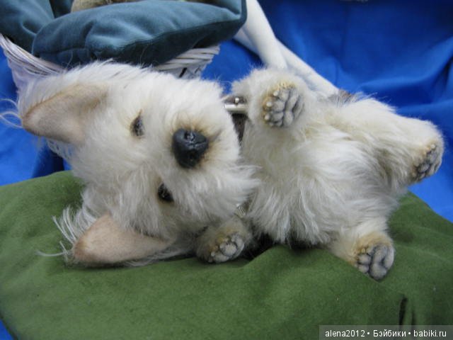 Тишинка-Тишинка! Салон кукол 2016