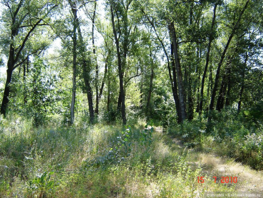 Родная природа. Волго-Ахтубинская пойма. Часть 1