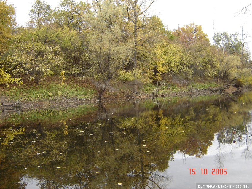 Родная природа. Волго-Ахтубинская пойма. Часть 1