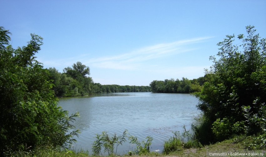 Родная природа. Волго-Ахтубинская пойма. Часть 1