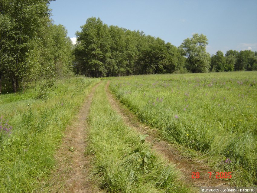 Родная природа. Волго-Ахтубинская пойма. Часть 1 (фото 10)