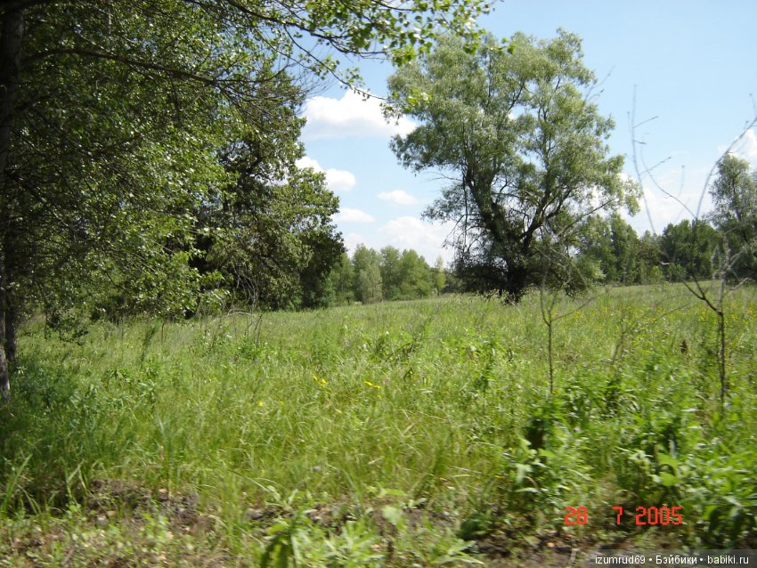 Родная природа. Волго-Ахтубинская пойма. Часть 1