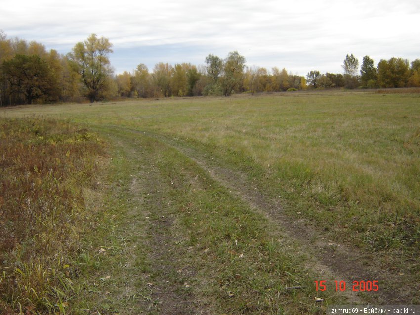 Родная природа. Волго-Ахтубинская пойма. Часть 1