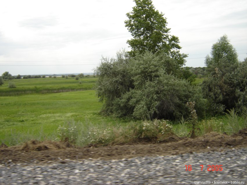 Родная природа. Волго-Ахтубинская пойма. Часть 1 (фото 3)