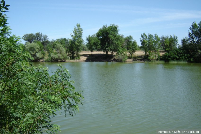 Родная природа. Волго-Ахтубинская пойма. Часть 1