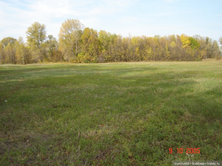 Родная природа. Волго-Ахтубинская пойма. Часть 1