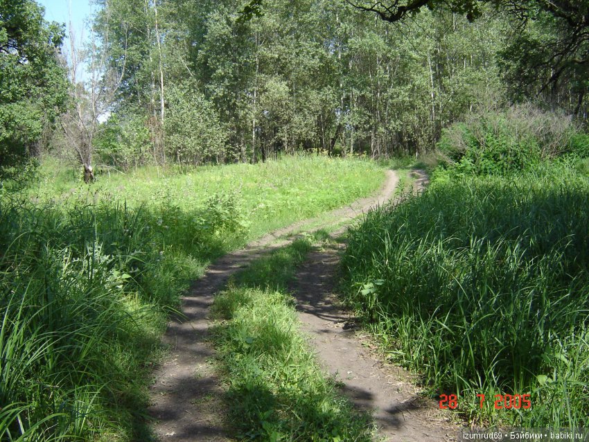 Родная природа. Волго-Ахтубинская пойма. Часть 1