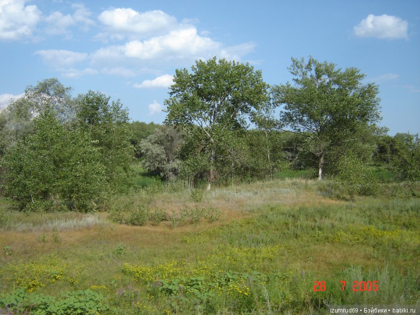 Родная природа. Волго-Ахтубинская пойма. Часть 1