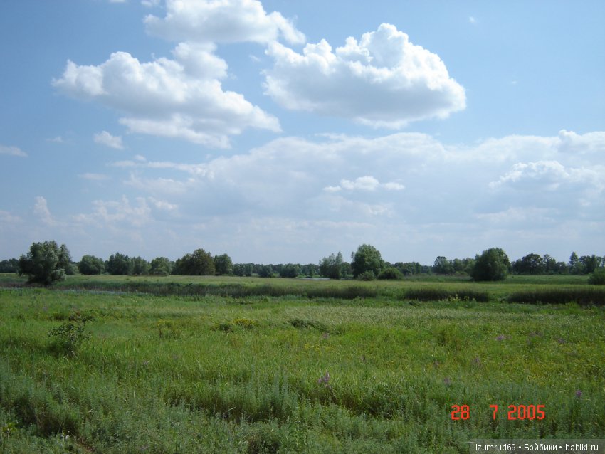 Родная природа. Волго-Ахтубинская пойма. Часть 1